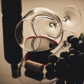 Lying vineglass with red grapevine Royalty Free Stock Photo