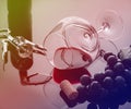 Lying vineglass with red grapevine Royalty Free Stock Photo