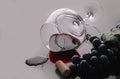 Lying vineglass with red grapevine Royalty Free Stock Photo