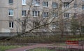 Lying in the yard of an apartment building a broken tree after the hurricane