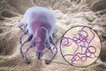 Lyme disease bacteria, Borrelia burgdorferi Royalty Free Stock Photo