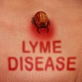 Lyme Disease Concept Royalty Free Stock Photo