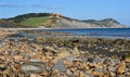 Lyme Regis Harbour Royalty Free Stock Photo