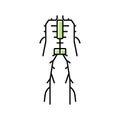 lymphatic system color icon vector illustration Royalty Free Stock Photo