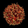 Lymphocyte, closeup view of T-cell or B-cell