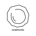 Lymphocytes color icon. White blood cells in the blood vessels.