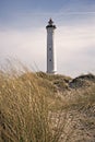 Lyngvig lighthouse in the coastal landscape of Denmark