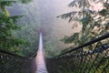 Lynn Canyon Park & Suspension Bridge