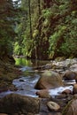 Lynn Canyon River