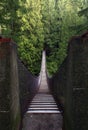 Lynn Canyon Suspension Bridge, Vancouver, Canada Royalty Free Stock Photo