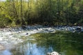 Lynn Creek in Lynn Canyon Park, 30 Foot Pool. North Vancouver