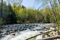 Lynn Creek in Lynn Canyon Park. North Vancouver