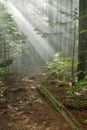 Lynn Peak trail with Sun Ray