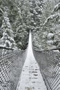 Lynn Valley Park on snowy day