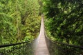 Lynn valley suspension bridge Royalty Free Stock Photo