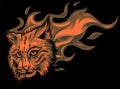 Vector Eurasian lynx cat head with flames.