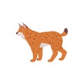 Lynx animal of Northern Eurasia and America, flat vector illustration isolated.