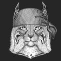 Lynx, bobcat, trot portrait. Bandana. Biker, pirate. Head of wild cat. Animal face.