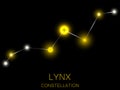 Lynx constellation. Bright yellow stars in the night sky. A cluster of stars in deep space, the universe. Vector illustration
