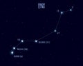 Lynx constellation, vector illustration with the names of basic stars