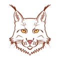 Lynx mascot logo. Head of lynx isolated vector illustration