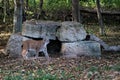 A lynx in front of a little cave