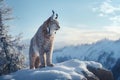 Lynx prowls through the snowy landscape. Generative AI