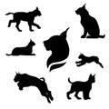 Lynx set vector Royalty Free Stock Photo