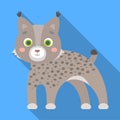 Lynx, single icon in flat style.Lynx, vector symbol stock illustration web.