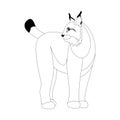 Lynx vector illustration line drawing profile