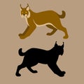 Lynx vector illustration style Flat silhouette