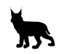 Lynx vector silhouette illustration isolated on white background. Bobcat silhouette.