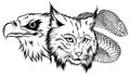 Lynx Wildcat eagle snake Logo Mascot