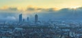 Lyon and fog Royalty Free Stock Photo