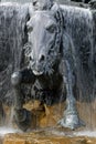 A horse of the Fontaine Bartholdi in Lyon Royalty Free Stock Photo
