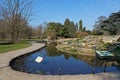 A small pool of water for waterlilies in Parc de la Tete d`Or