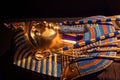 Tutankhamun sarcophagus replica at the exhibition