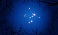 Lyra constellation. Tree branches, starry sky