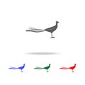 Lyrbird icon. Elements of Australian animals multi colored icons. Premium quality graphic design icon. Simple icon for websites; w