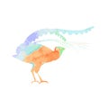 Lyrebird, or bird-lira silhouette with orange, blue and violet watercolor texture