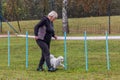 LYSA NAD LABEM, CZECH REPUBLIC - SEPTEMBER 28, 2020: Dog and a handler at weave poles during agility competition in Lysa Royalty Free Stock Photo