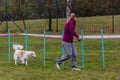 LYSA NAD LABEM, CZECH REPUBLIC - SEPTEMBER 28, 2020: Dog and a handler at weave poles during agility competition in Lysa Royalty Free Stock Photo