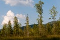 Lysak raised bog in Gorgany region of Carpathian Mountains