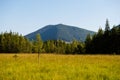 Lysak raised bog in Gorgany region of Carpathian Mountains