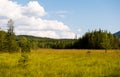 Lysak raised bog in Gorgany region of Carpathian Mountains