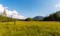 Lysak raised bog in Gorgany region of Carpathian Mountains