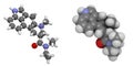 Lysergic acid diethylamide (LSD)