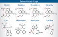 Lysergic acid diethylamide LSD, oxycodone, heroin, codeine, methadone, morphine, cocaine, psilocybin. Recreational drugs