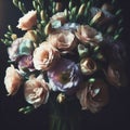 Lysianthus bouquet with dramatic side light. Flowers and plants in spring. AI generated Royalty Free Stock Photo