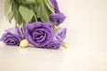 Lysianthus flower on wooden background Royalty Free Stock Photo
